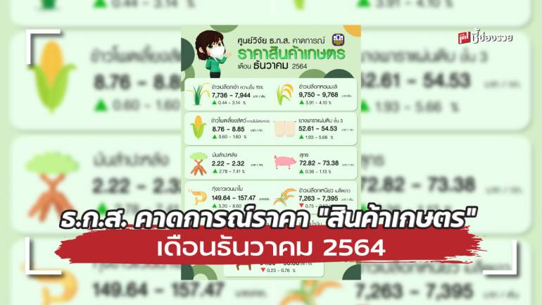 ศูนย์วิจัย ธ.ก.ส. คาดการณ์ราคา 