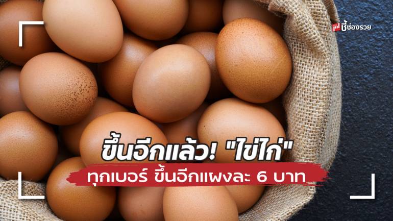 วันนี้ขึ้นอีกแล้ว! “ไข่ไก่” ทุกเบอร์ ขึ้นอีกแผงละ 6 บาท หรือขึ้นอีกฟองละ 20 สตางค์ 