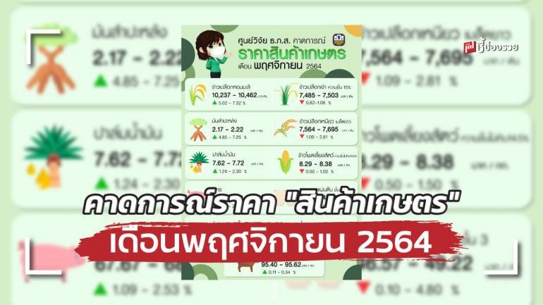 ศูนย์วิจัย ธ.ก.ส. คาดการณ์ราคา 