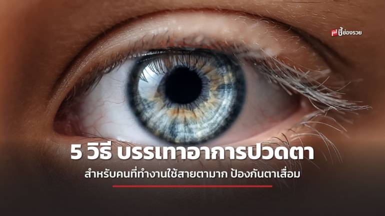 ชี้ช่องรวย แนะ 5 วิธี บรรเทาอาการปวดตา สำหรับคนที่ทำงานใช้สายตามาก ป้องกันตาเสื่อม