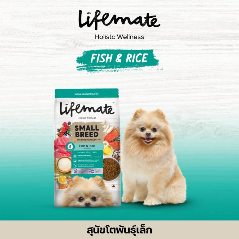 Lifemate Dog Small Breed อาหารเม็ดสุนัขพันธุ์เล็ก 