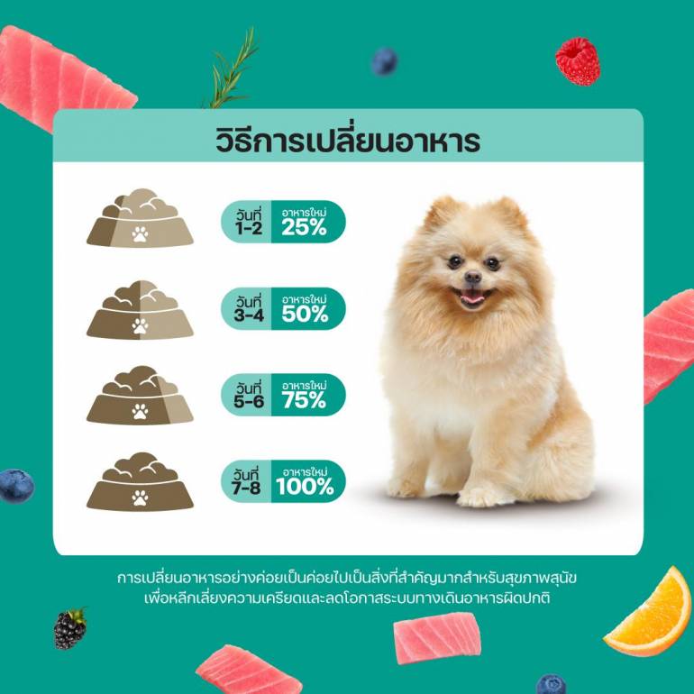 Lifemate Dog Small Breed อาหารเม็ดสุนัขพันธุ์เล็ก 