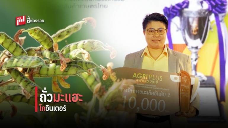 เพปไทด์ถั่วมะแฮะ สารสกัดมีฤทธิ์เปลี่ยนร่องรอยความเสื่อมโทรมให้เกษตรกรไทย