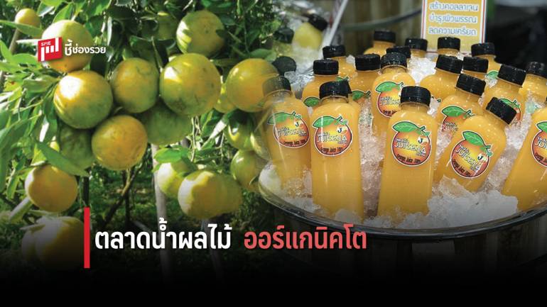 นันธาวรรณฟูดส์ ต่อยอดธุรกิจฟาร์มเกษตรอินทรีย์ รุกตลาดน้ำผักผลไม้ออร์แกนิค