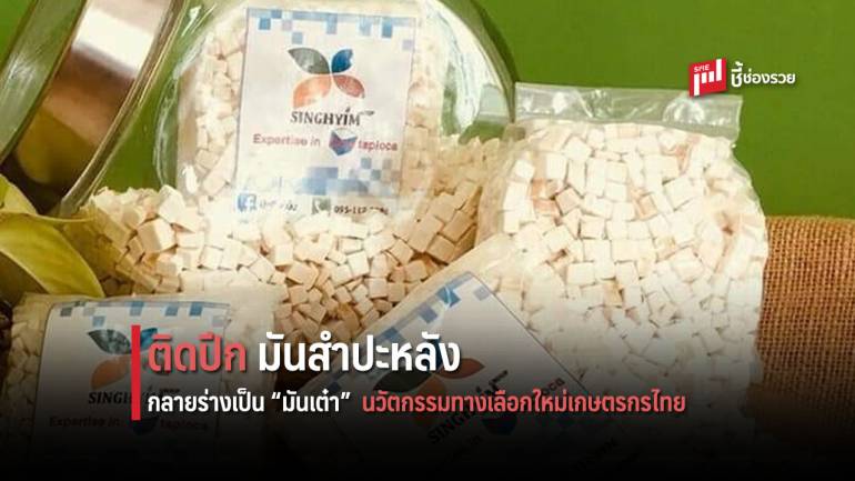 ติดปีกมันสำปะหลังให้เป็น “มันเต๋า” นวัตกรรมทางเลือกใหม่เกษตรกรไทย