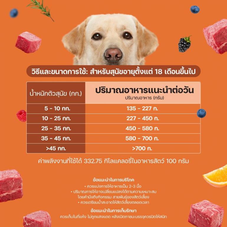 Lifemate Dog Large Breed อาหารเม็ดสุนัขโตพันธุ์ใหญ่