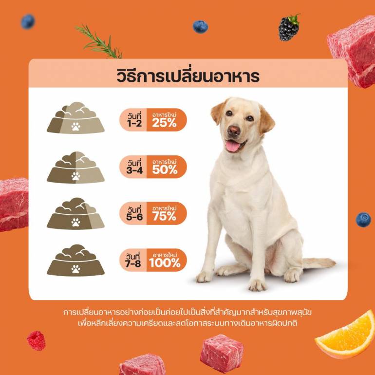 Lifemate Dog Large Breed อาหารเม็ดสุนัขโตพันธุ์ใหญ่