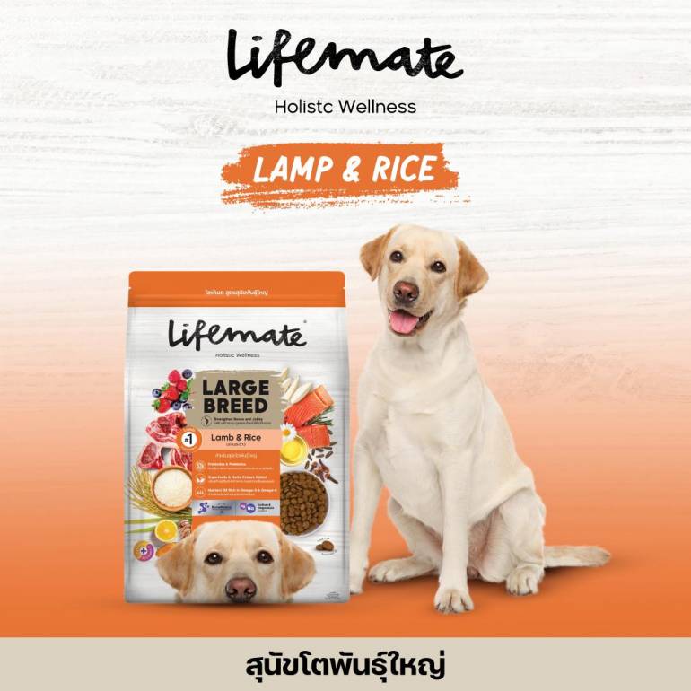 Lifemate Dog Large Breed อาหารเม็ดสุนัขโตพันธุ์ใหญ่